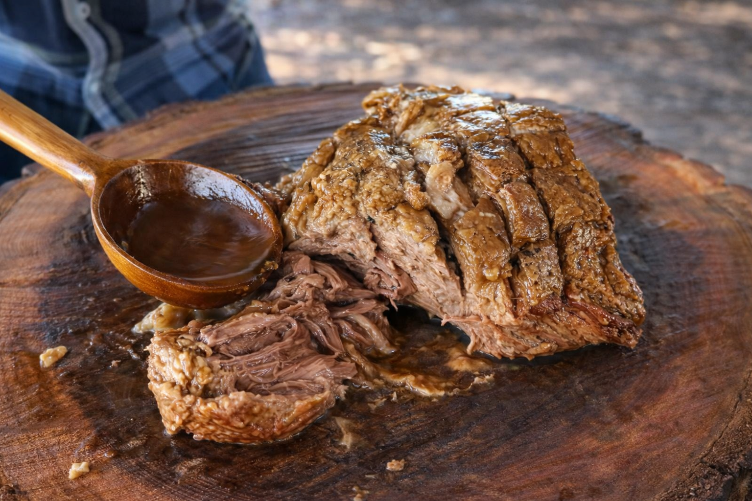 BARBACOA DE PICAÑA